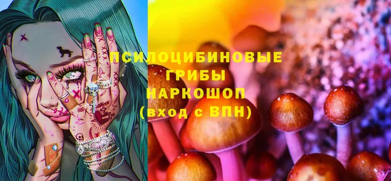 Псилоцибиновые грибы Magic Shrooms  где можно купить наркотик  Полярные Зори 